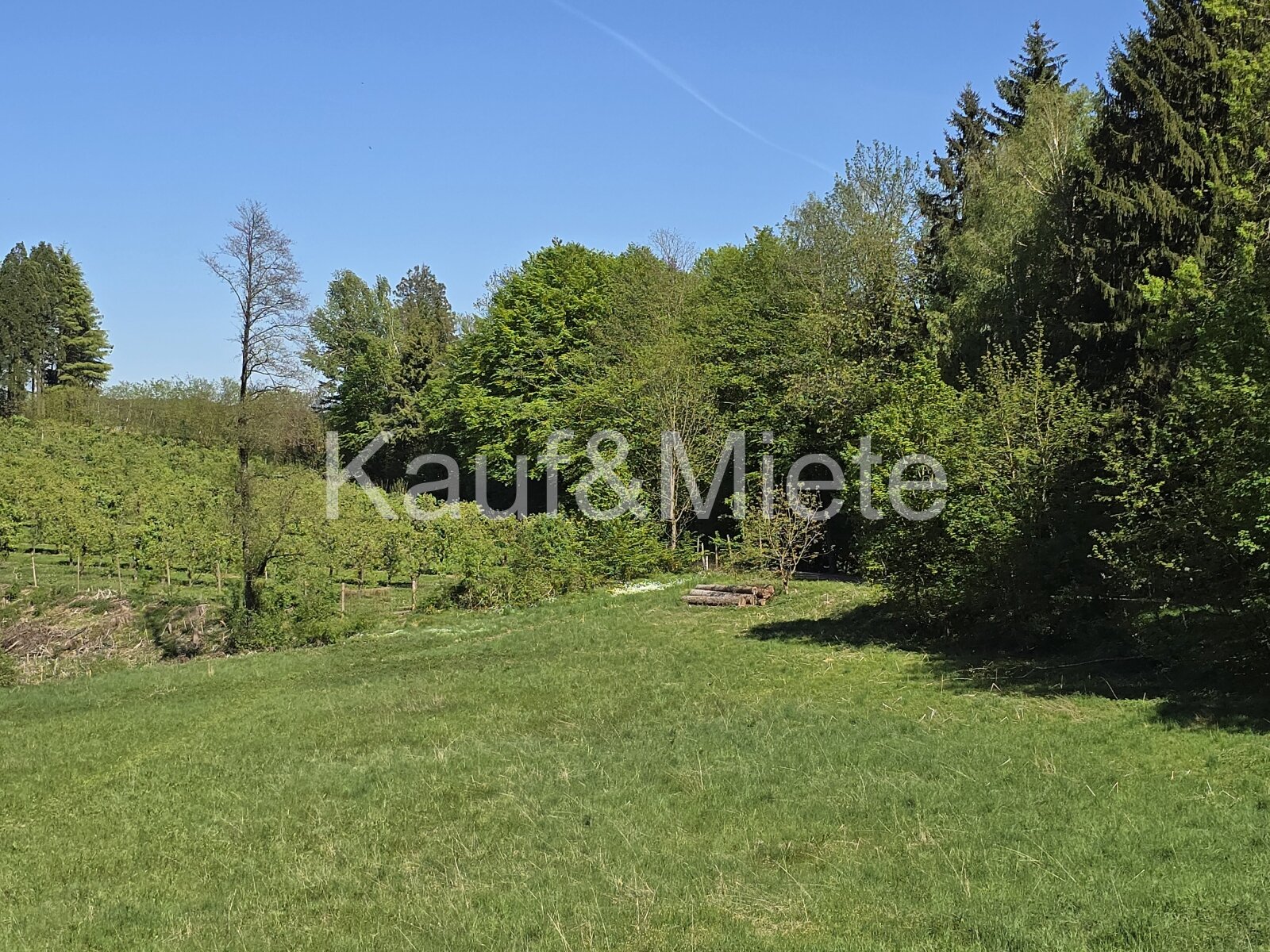 Charmantes Holzblockhaus auf großzügigem Grundstück in absoluter Ruhelage