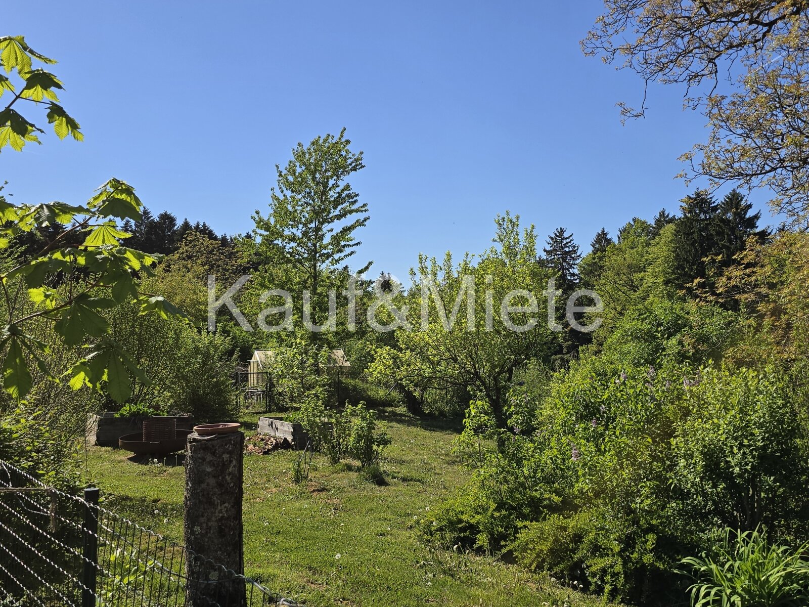 Charmantes Holzblockhaus auf großzügigem Grundstück in absoluter Ruhelage