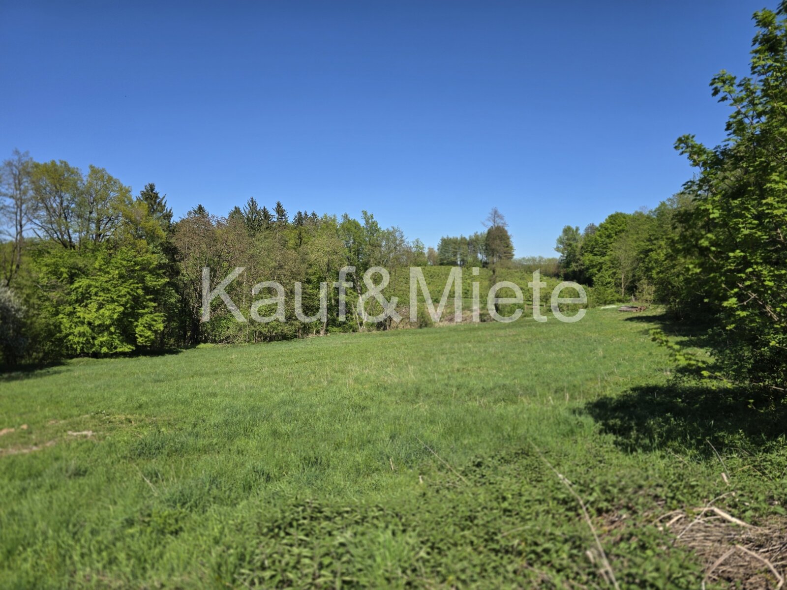 Charmantes Holzblockhaus auf großzügigem Grundstück in absoluter Ruhelage